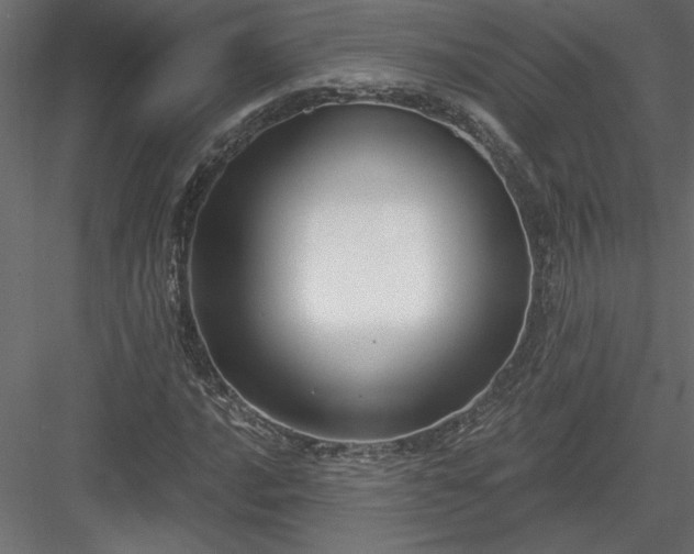X0000084041016200702232319