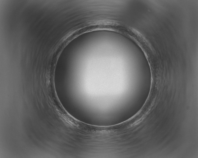 X0000084041017200702232319