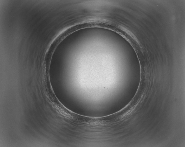 X0000084041021200702232319