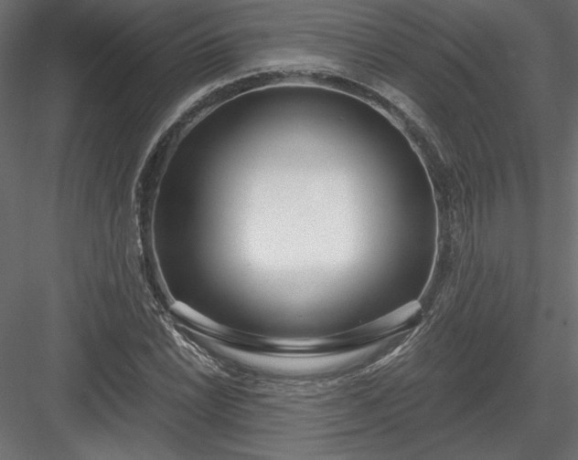X0000084041022200702232319