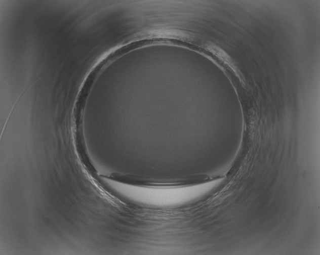 X0000084041024200702232319
