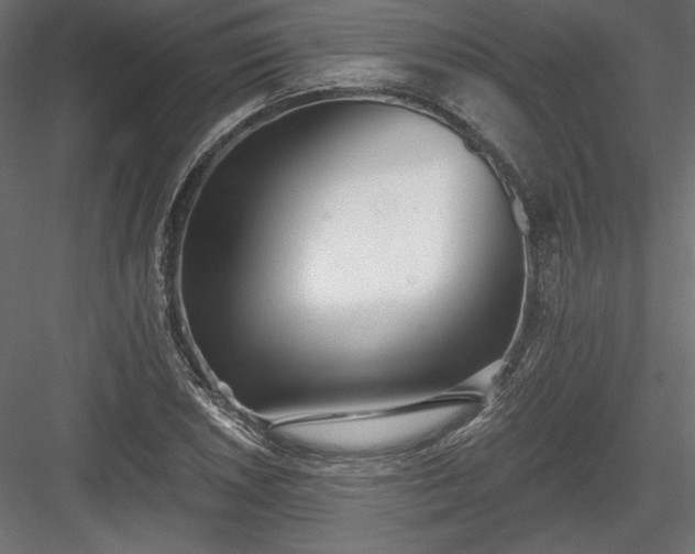 X0000084041026200702232319