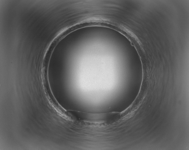 X0000084041029200702232319