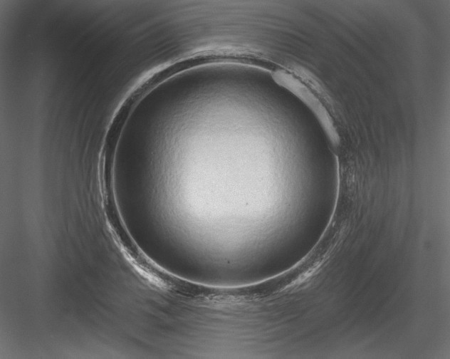 X0000084041030200702232319
