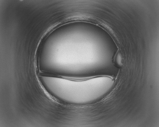 X0000084041034200702232319