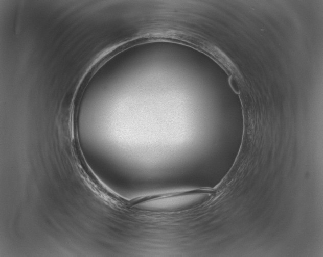 X0000084041036200702232319