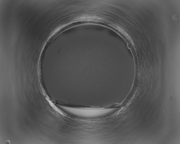 X0000084041037200702232319