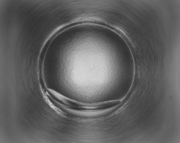 X0000084041038200702232319