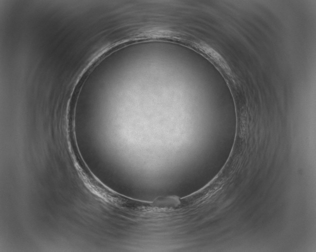 X0000084041039200702232319