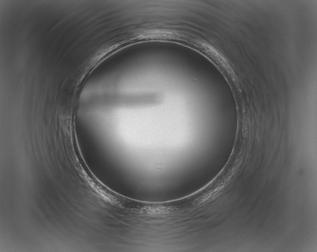 X0000084041041200702232319