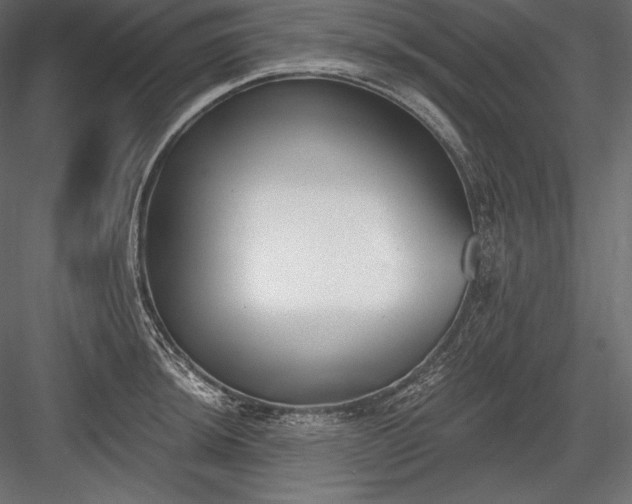 X0000084041044200702232319