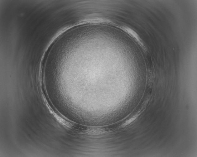 X0000084041046200702232320