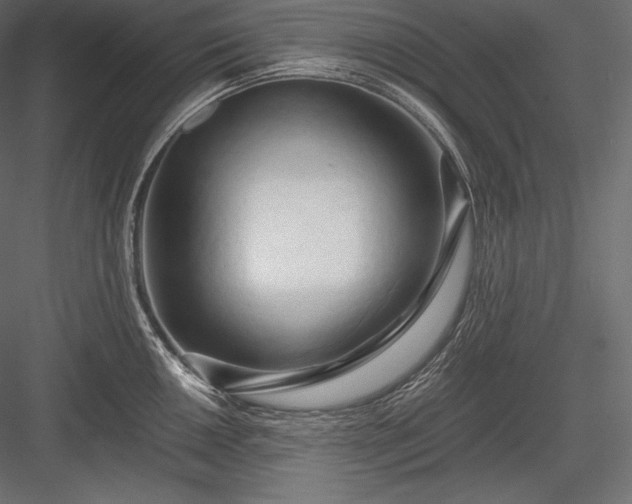 X0000084041050200702232320