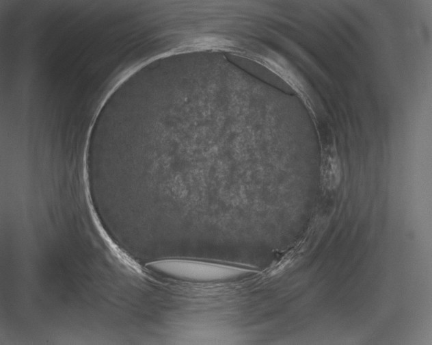 X0000084041055200702232320