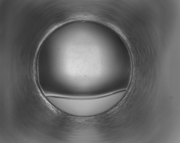 X0000084041056200702232320