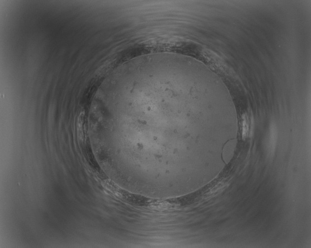 X0000084041059200702232319