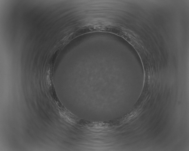 X0000084041060200702232319