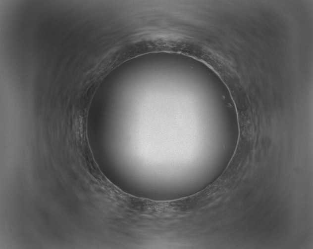 X0000084041061200702232319