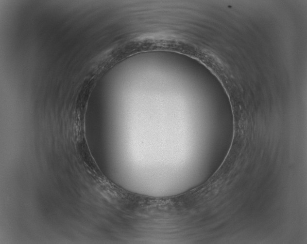 X0000084041062200702232319