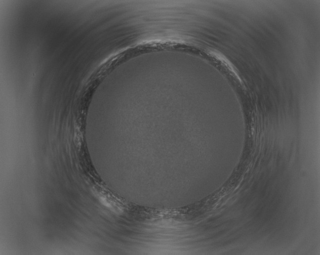 X0000084041064200702232319