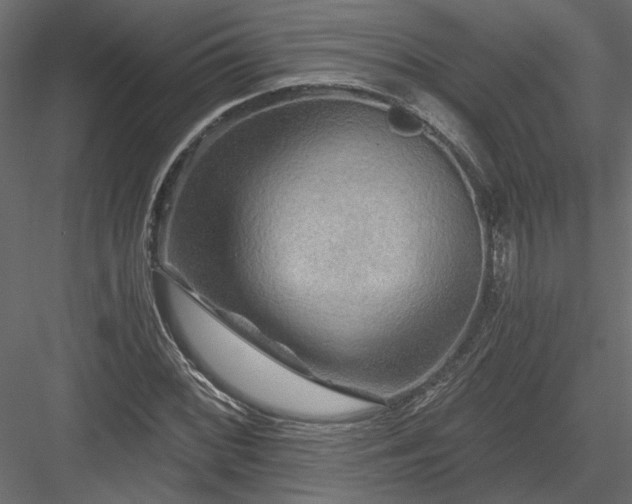 X0000084041068200702232319