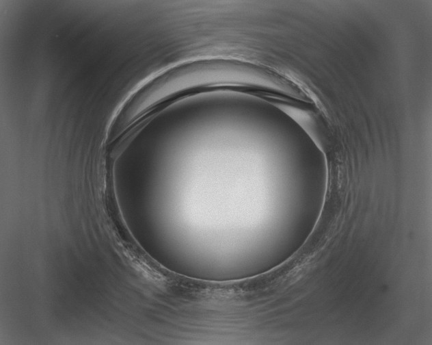 X0000084041069200702232319