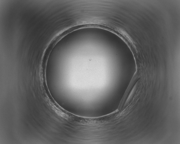 X0000084041072200702232319