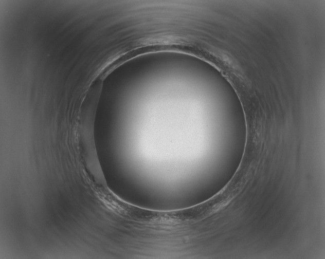 X0000084041073200702232319