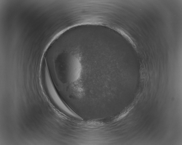 X0000084041077200702232319