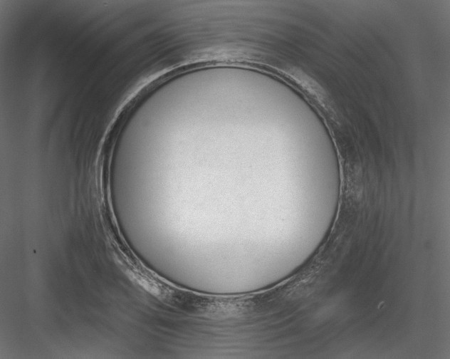 X0000084041078200702232318