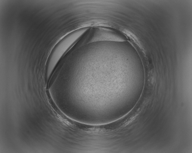 X0000084041081200702232318