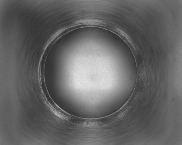 X0000084041082200702232318