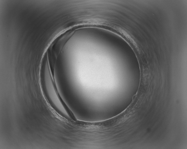X0000084041085200702232318