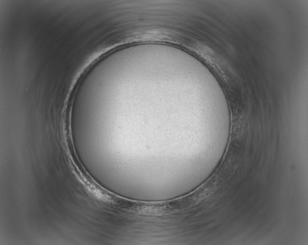 X0000084041086200702232318