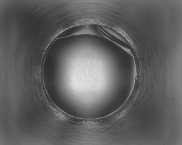 X0000084041089200702232318