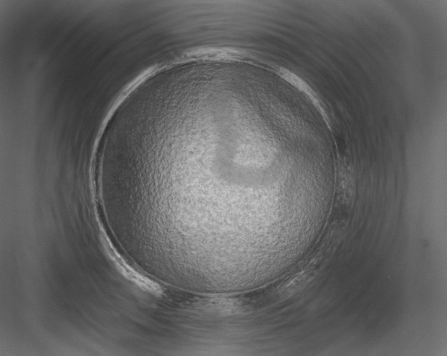 X0000084041090200702232318