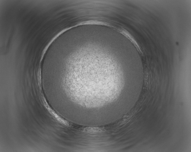 X0000084041092200702232318