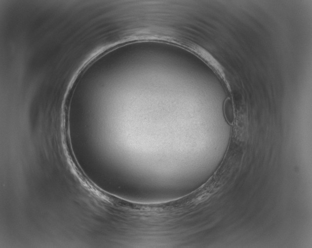 X0000084041096200702232318