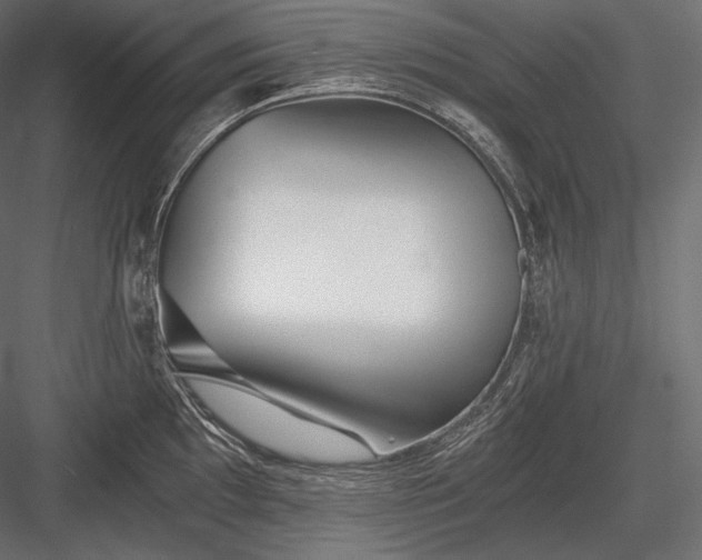 X0000084041097200702232318