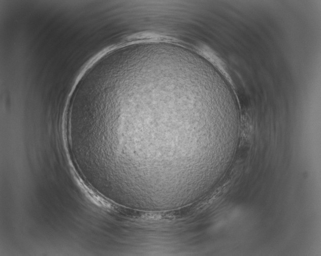 X0000084041098200702232318