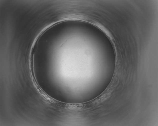X0000084041104200702232318