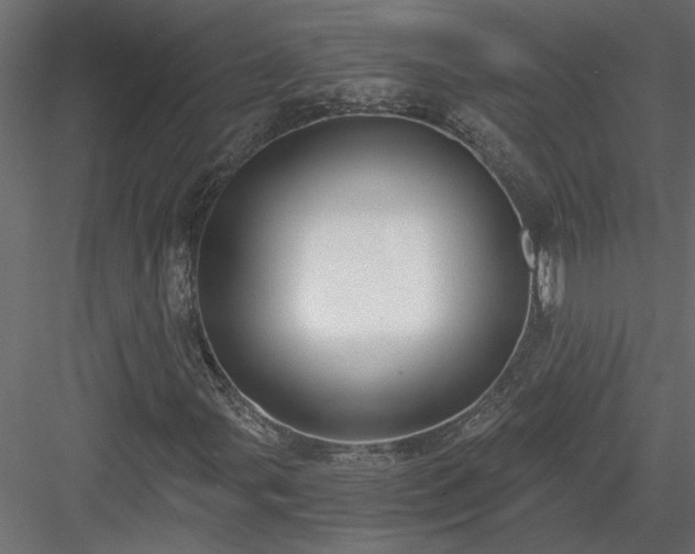 X0000084041107200702232317