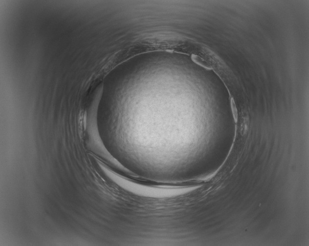 X0000084041108200702232317
