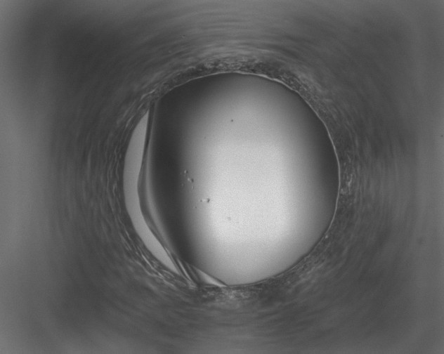 X0000084041109200702232317