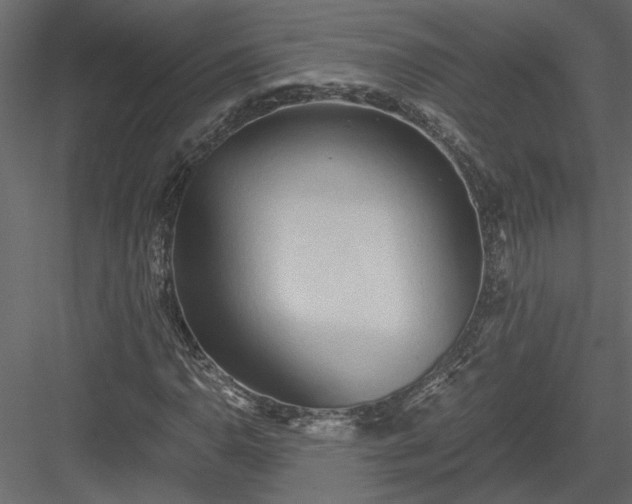 X0000084041110200702232317