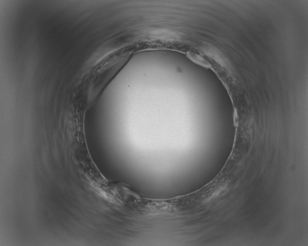 X0000084041112200702232317