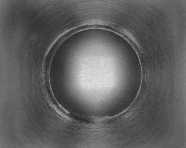 X0000084041116200702232317