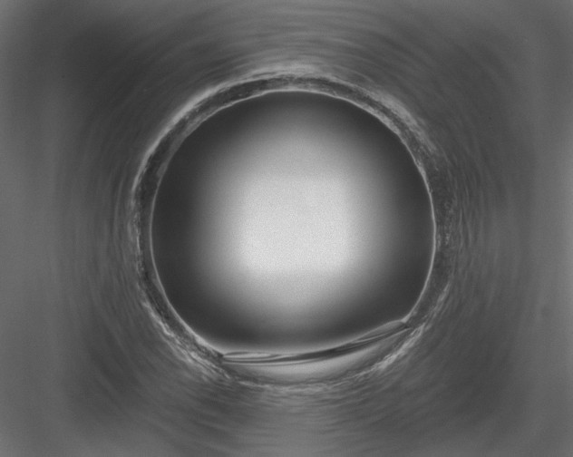 X0000084041118200702232317