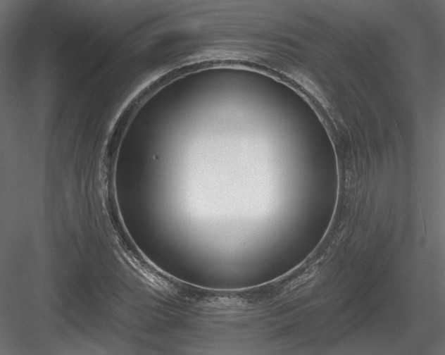 X0000084041119200702232317