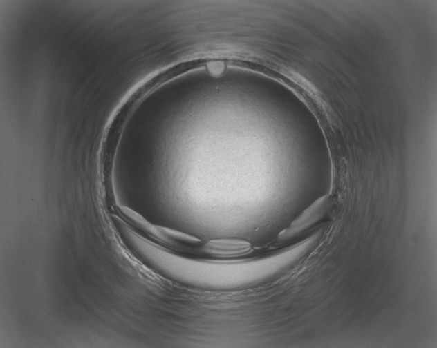 X0000084041120200702232317